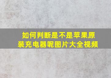 如何判断是不是苹果原装充电器呢图片大全视频