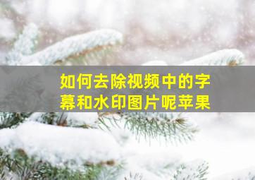 如何去除视频中的字幕和水印图片呢苹果