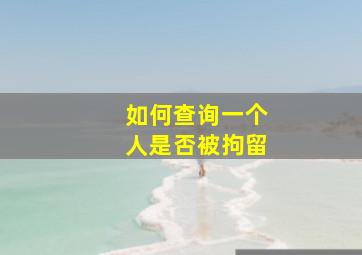 如何查询一个人是否被拘留