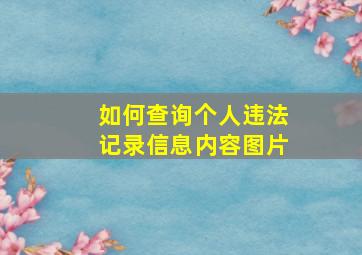 如何查询个人违法记录信息内容图片