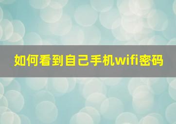 如何看到自己手机wifi密码