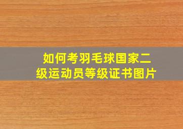 如何考羽毛球国家二级运动员等级证书图片