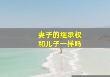 妻子的继承权和儿子一样吗