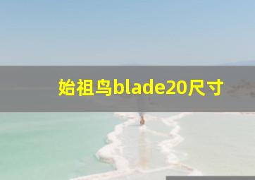 始祖鸟blade20尺寸