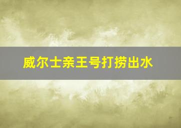 威尔士亲王号打捞出水