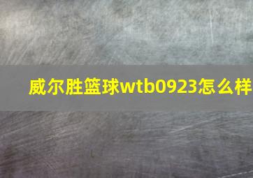 威尔胜篮球wtb0923怎么样