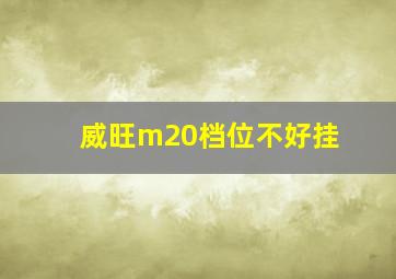 威旺m20档位不好挂