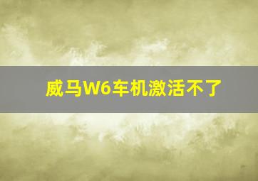 威马W6车机激活不了