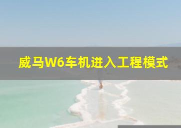 威马W6车机进入工程模式