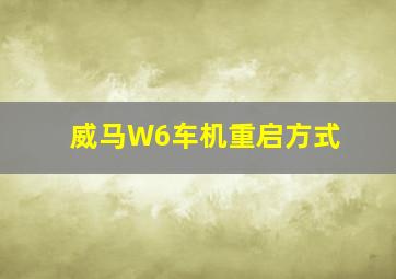 威马W6车机重启方式