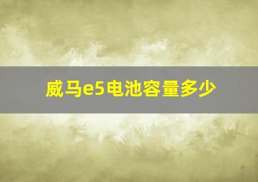 威马e5电池容量多少