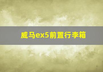 威马ex5前置行李箱