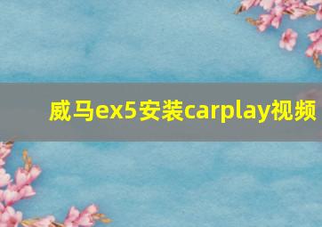 威马ex5安装carplay视频