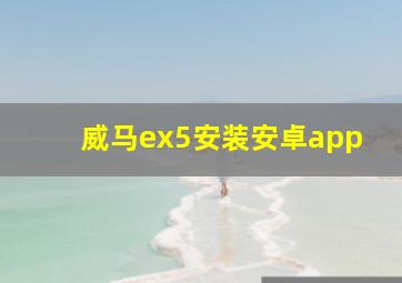 威马ex5安装安卓app