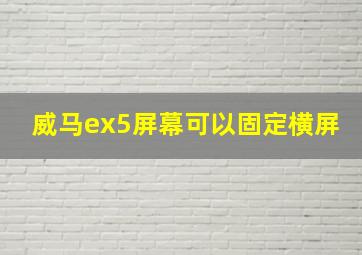 威马ex5屏幕可以固定横屏