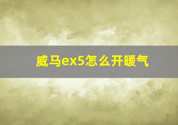 威马ex5怎么开暖气