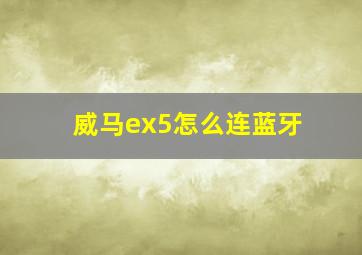 威马ex5怎么连蓝牙