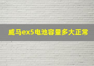 威马ex5电池容量多大正常