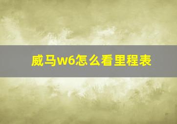 威马w6怎么看里程表