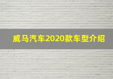 威马汽车2020款车型介绍