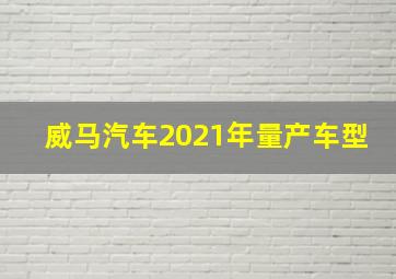 威马汽车2021年量产车型