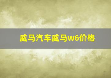 威马汽车威马w6价格