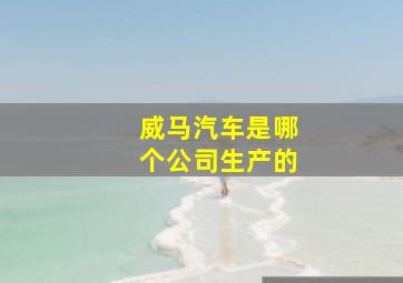 威马汽车是哪个公司生产的