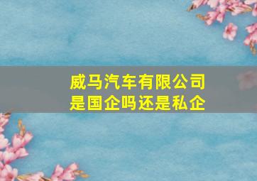 威马汽车有限公司是国企吗还是私企