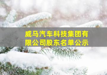 威马汽车科技集团有限公司股东名单公示