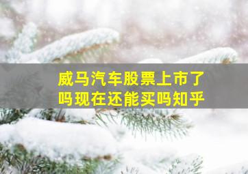 威马汽车股票上市了吗现在还能买吗知乎