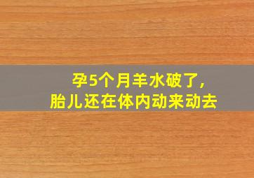 孕5个月羊水破了,胎儿还在体内动来动去