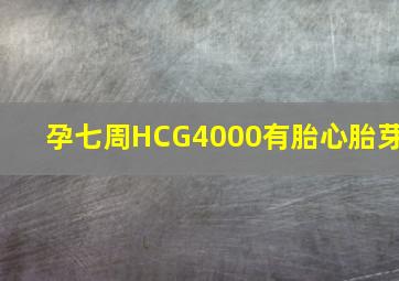 孕七周HCG4000有胎心胎芽