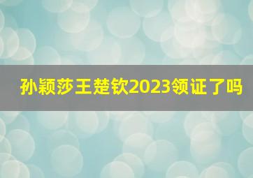 孙颖莎王楚钦2023领证了吗