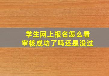 学生网上报名怎么看审核成功了吗还是没过