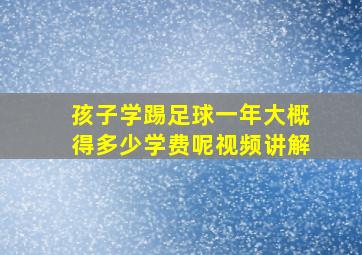 孩子学踢足球一年大概得多少学费呢视频讲解