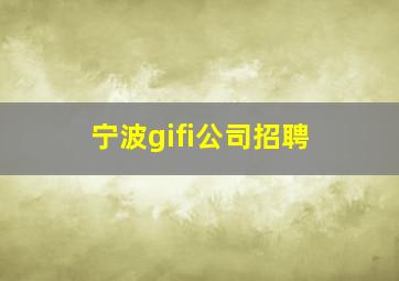 宁波gifi公司招聘