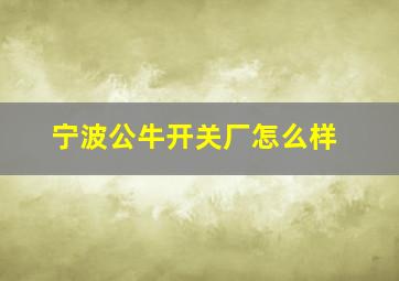 宁波公牛开关厂怎么样