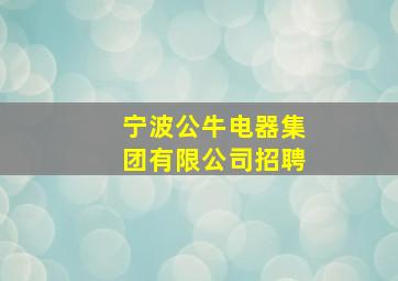 宁波公牛电器集团有限公司招聘