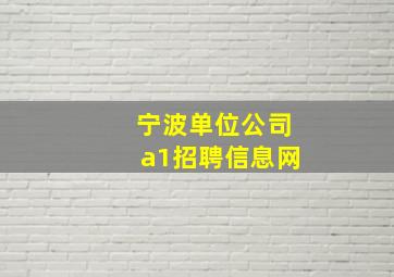 宁波单位公司a1招聘信息网