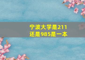 宁波大学是211还是985是一本