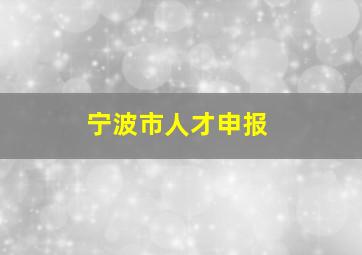 宁波市人才申报