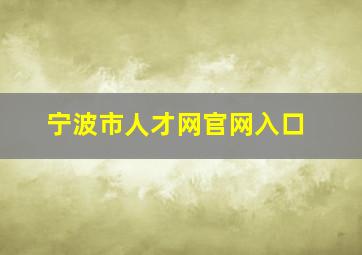 宁波市人才网官网入口