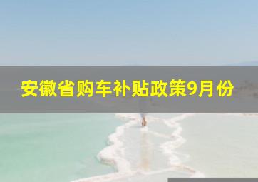 安徽省购车补贴政策9月份