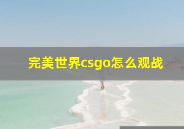 完美世界csgo怎么观战