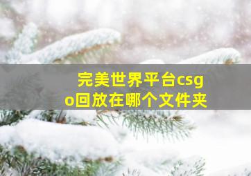 完美世界平台csgo回放在哪个文件夹