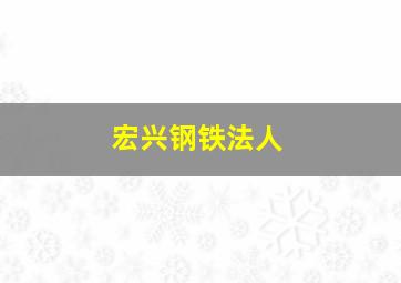 宏兴钢铁法人