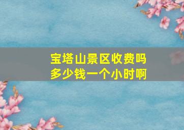 宝塔山景区收费吗多少钱一个小时啊