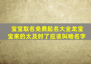 宝宝取名免费起名大全龙宝宝来的太及时了应该叫啥名字