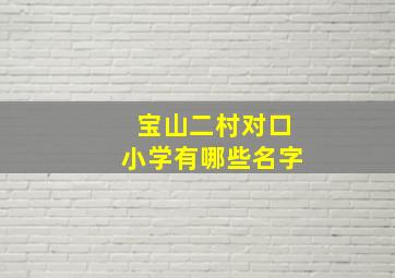 宝山二村对口小学有哪些名字