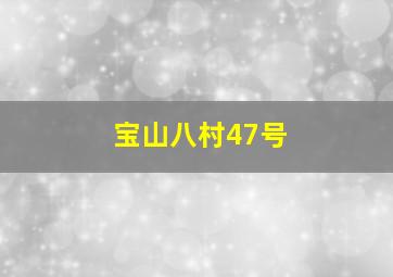 宝山八村47号